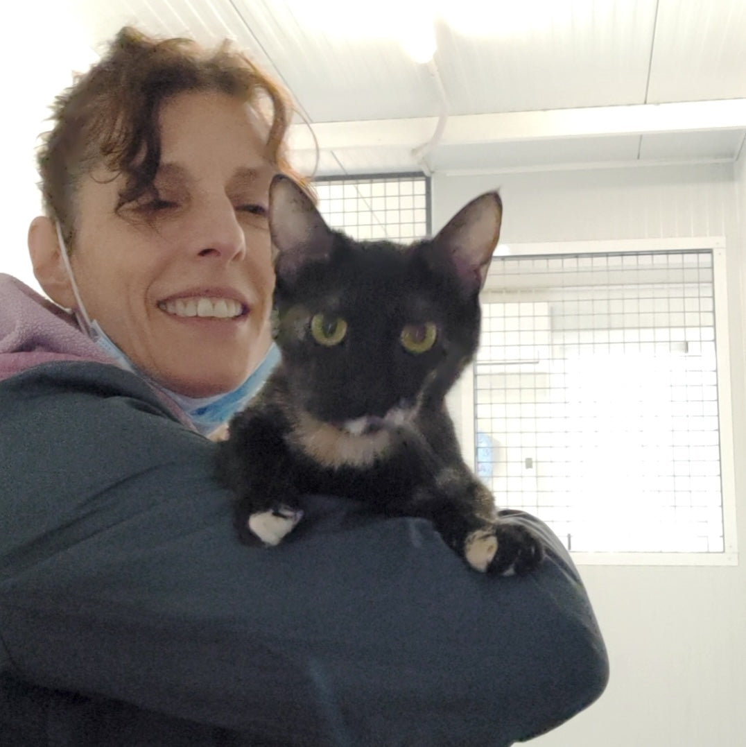 Shelter Kitty Havanna