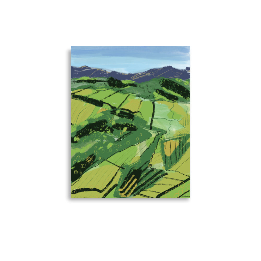 The Vineyards of Ronda Spain Poster