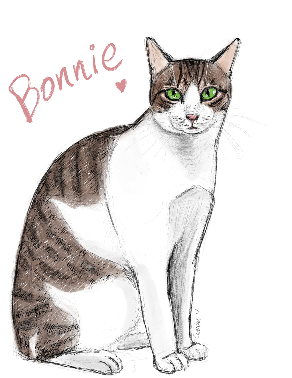 Shelter Kitty Bonnie