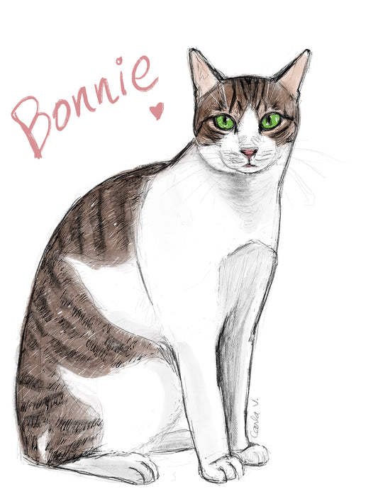 Shelter Kitty Bonnie