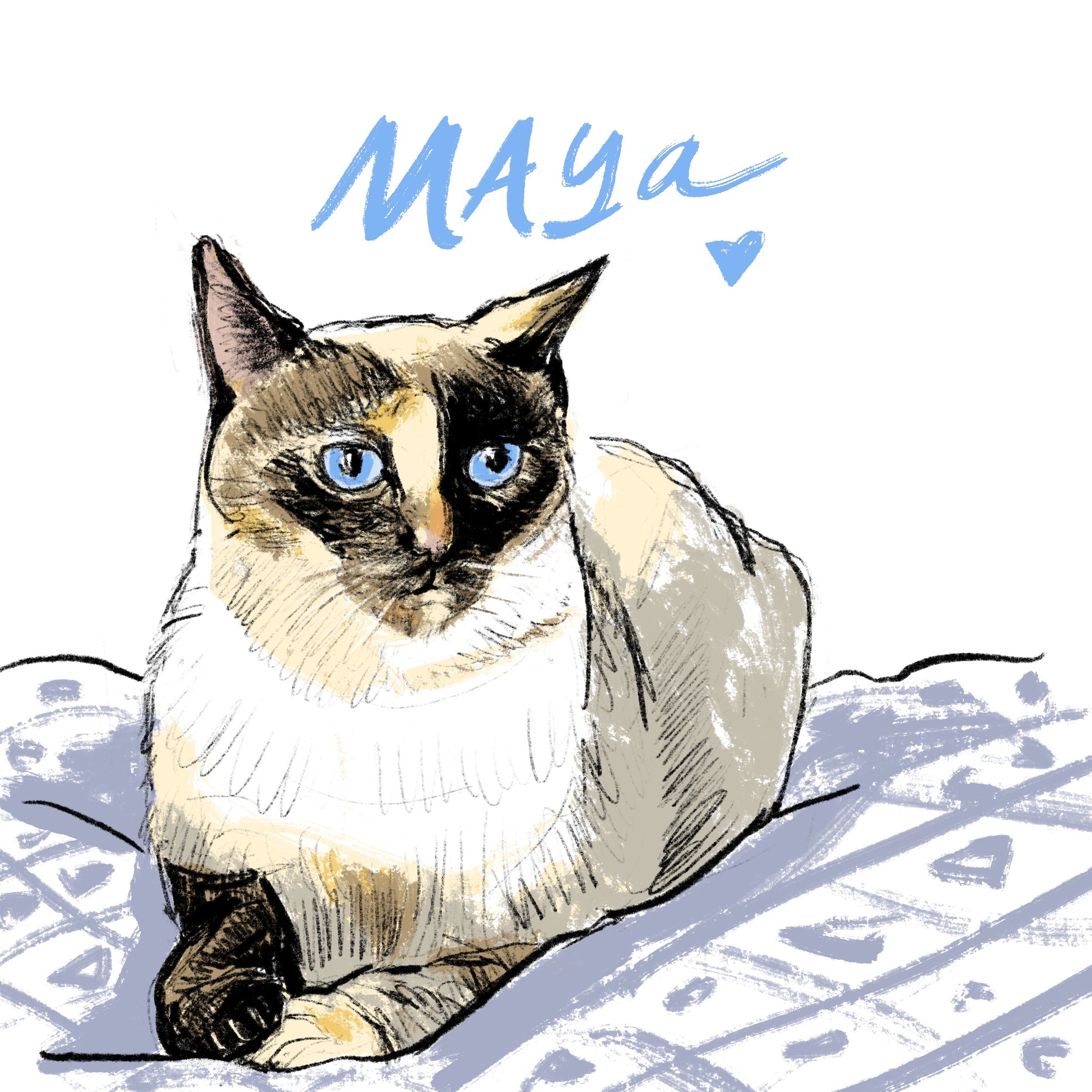 Shelter Kitty Maya