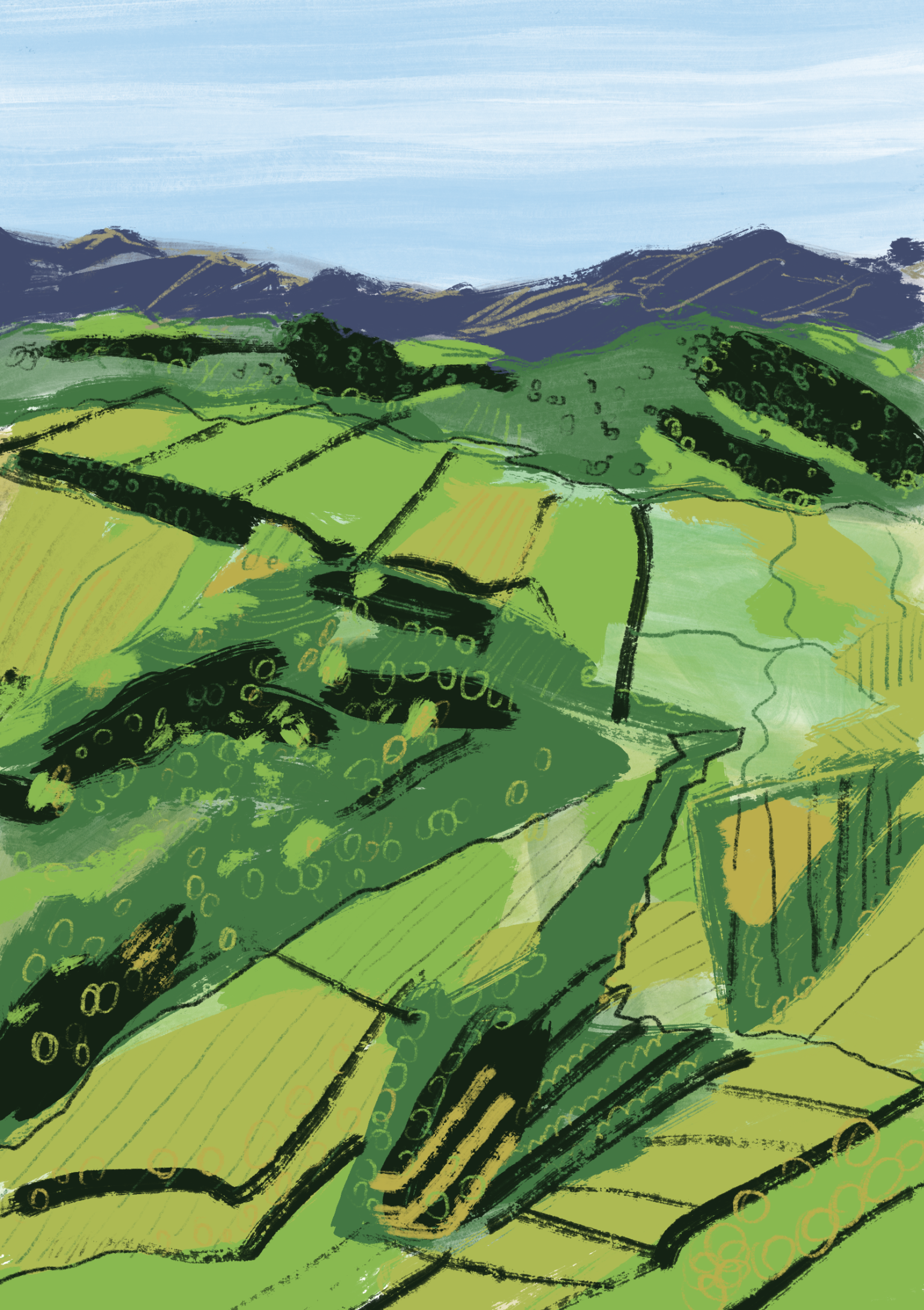 Vineyards of Ronda - Giclée Archival Print
