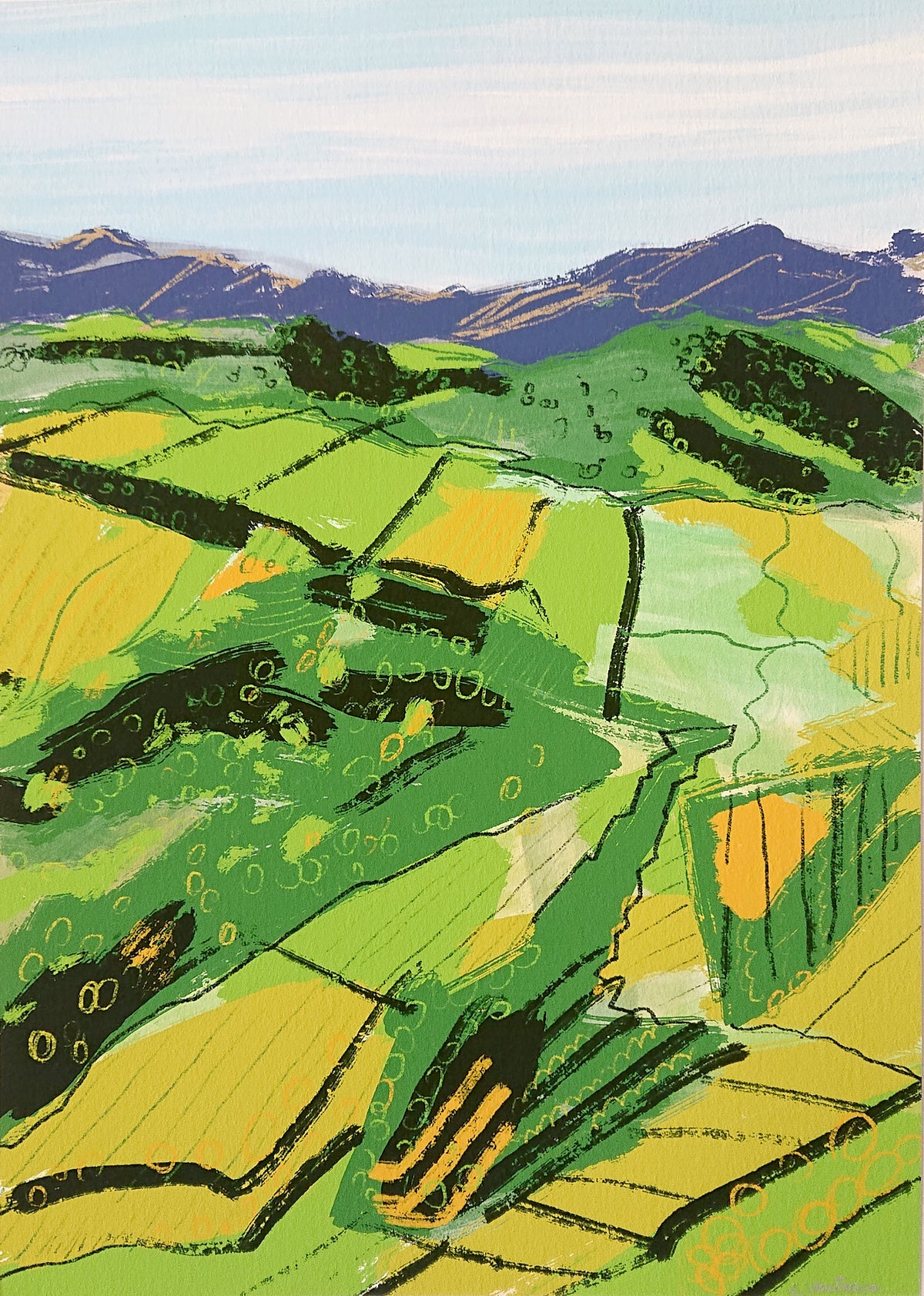 Vineyards of Ronda - Giclée Archival Print