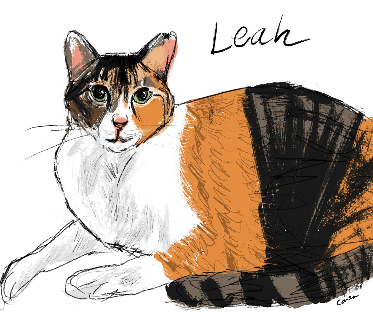 Shelter Kitty Leah
