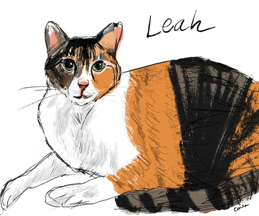Shelter Kitty Leah