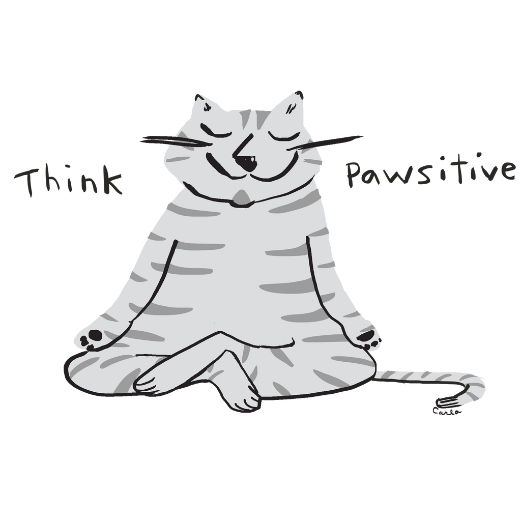 Think Pawsitive Grey Cat Meditating Coffee Mug