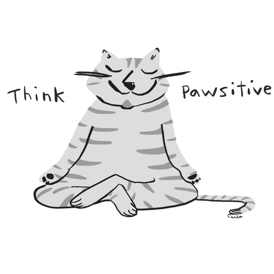 Think Pawsitive Grey Cat Meditating Coffee Mug